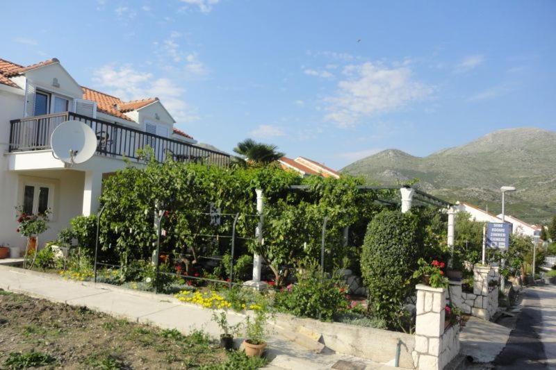 Guest House Pavkovic Slano Ngoại thất bức ảnh
