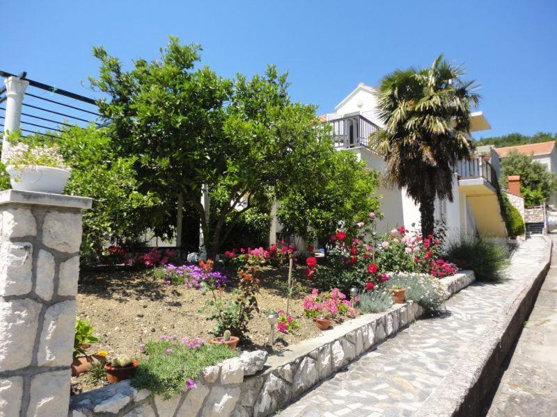 Guest House Pavkovic Slano Ngoại thất bức ảnh
